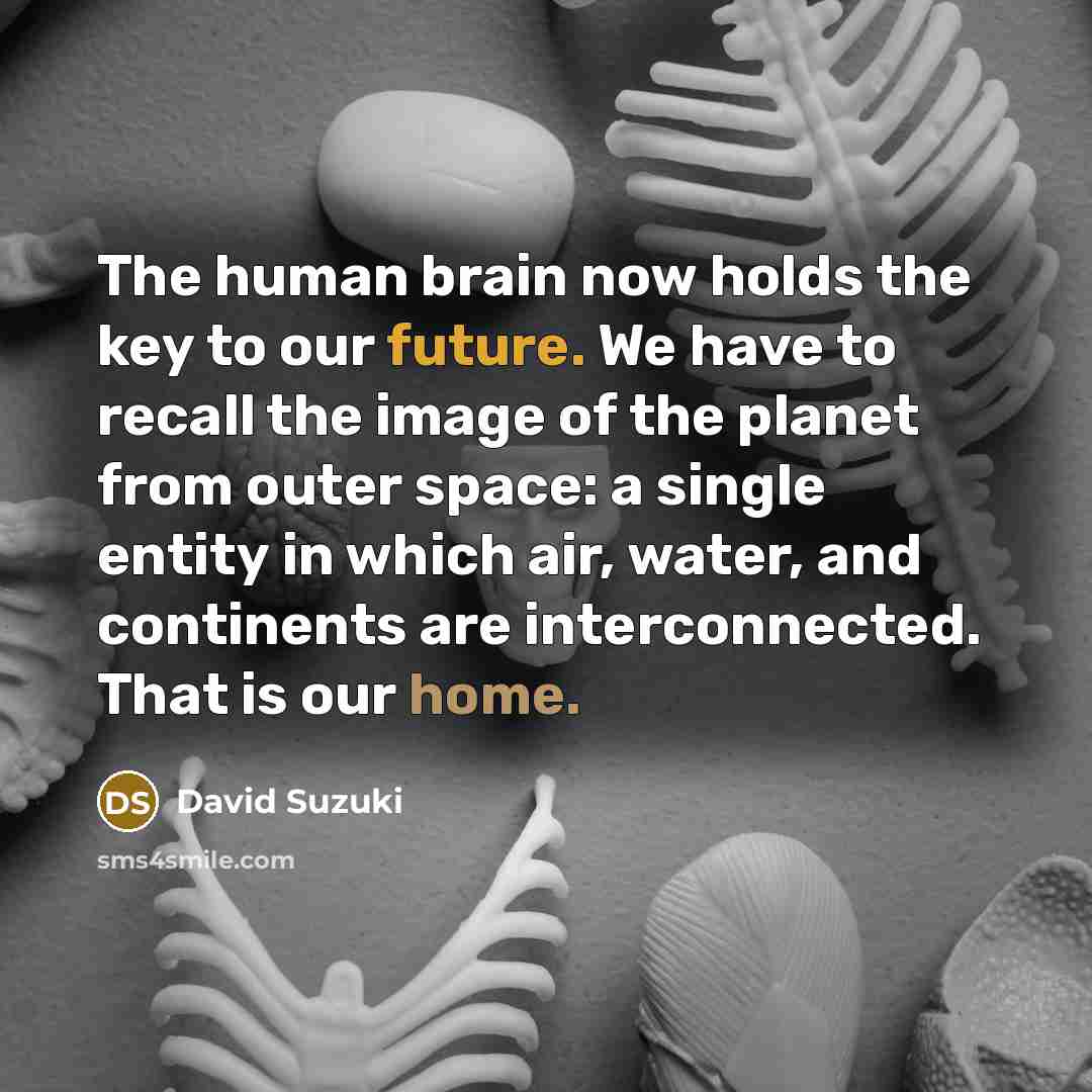 “The human brain now holds the key to our future.…” quote by David Suzuki