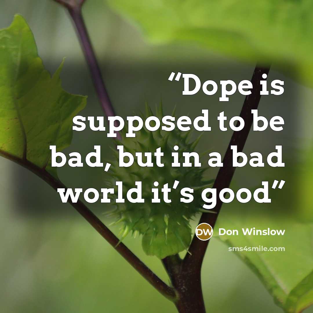 “Dope is supposed to be bad, but in a bad world it’s good” quote by Don Winslow