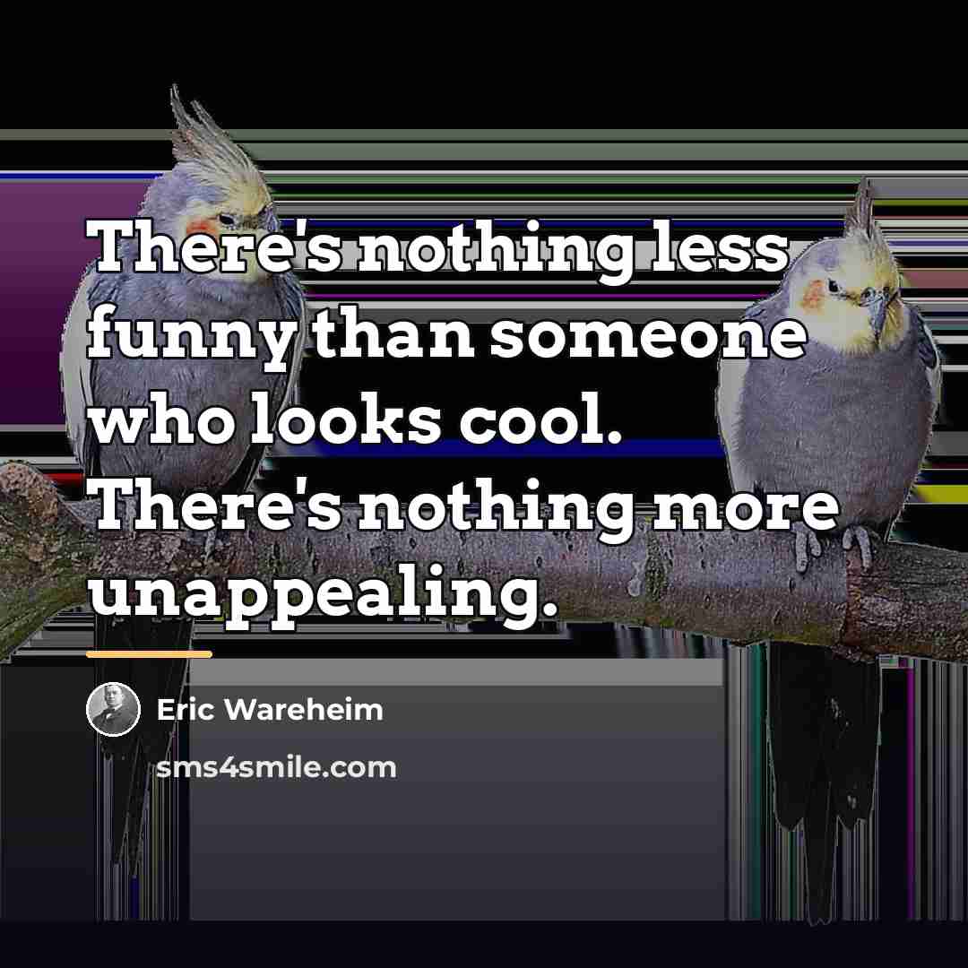 “There's nothing less funny than someone who looks cool. There's…” quote by Eric Wareheim