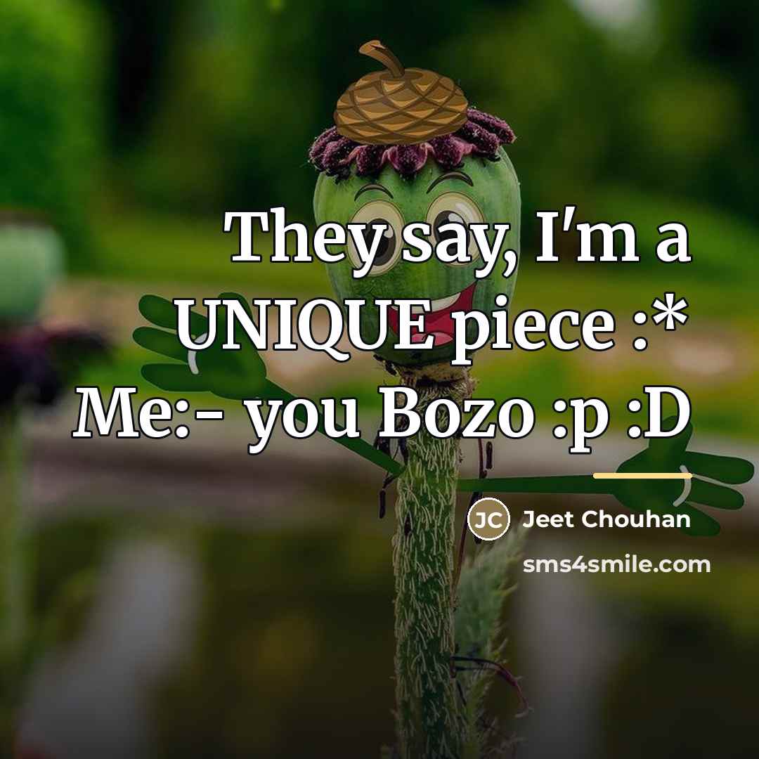 “They say, I'm a UNIQUE piece :* Me:- you Bozo…” quote by Anonymous