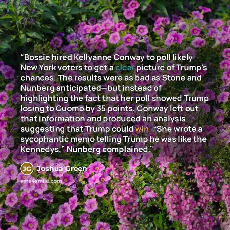 “Bossie hired Kellyanne Conway to poll likely New York voters to get a clear picture of Trump’s chances. The results were as bad as Stone and Nunberg anticipated—but instead of highlighting the fact that her poll showed Trump losing to Cuomo by 35 points, Conway left out that information and…” quote by Joshua Green