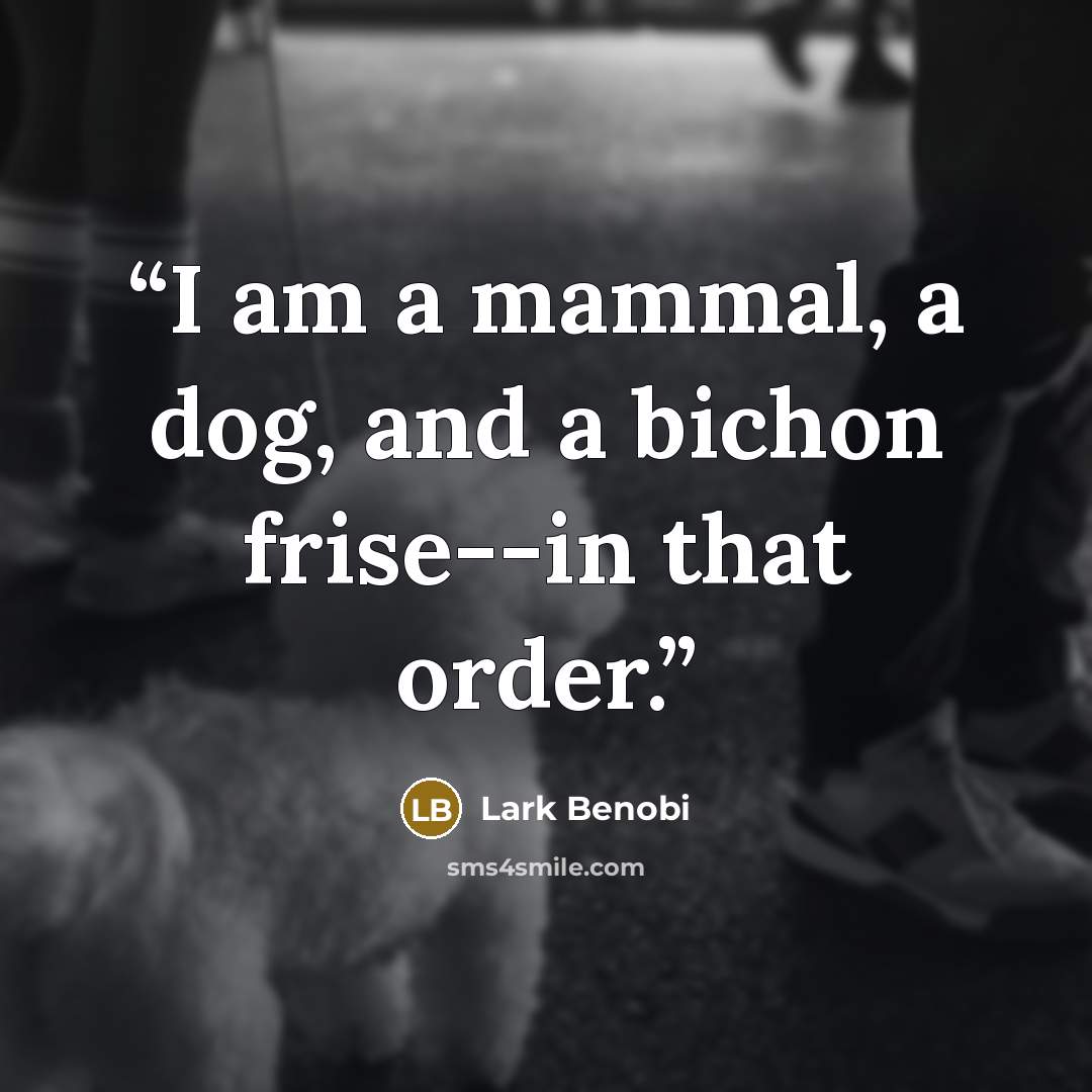 “I am a mammal, a dog, and a bichon frise--in that order.” quote by Lark Benobi