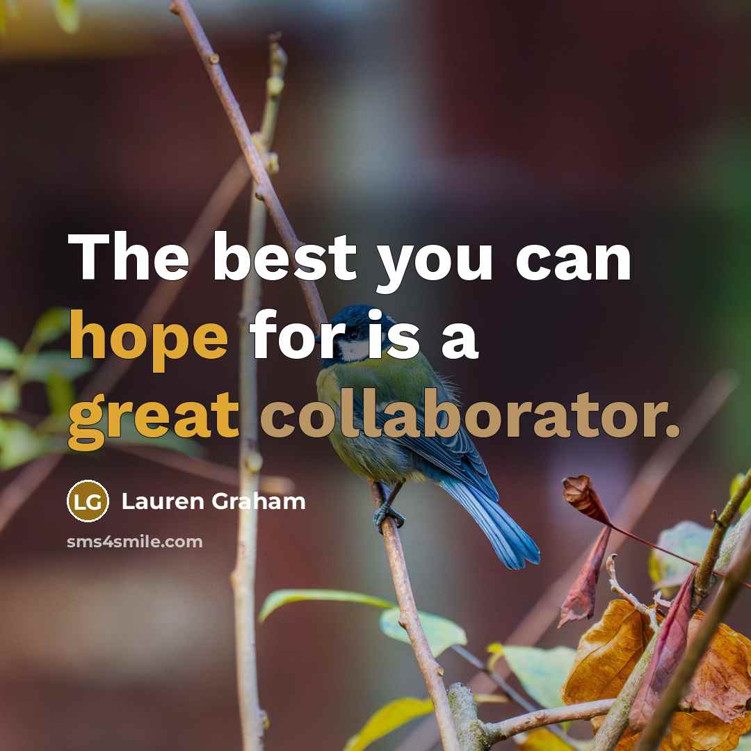“The best you can hope for is a great collaborator.…” quote by Lauren Graham