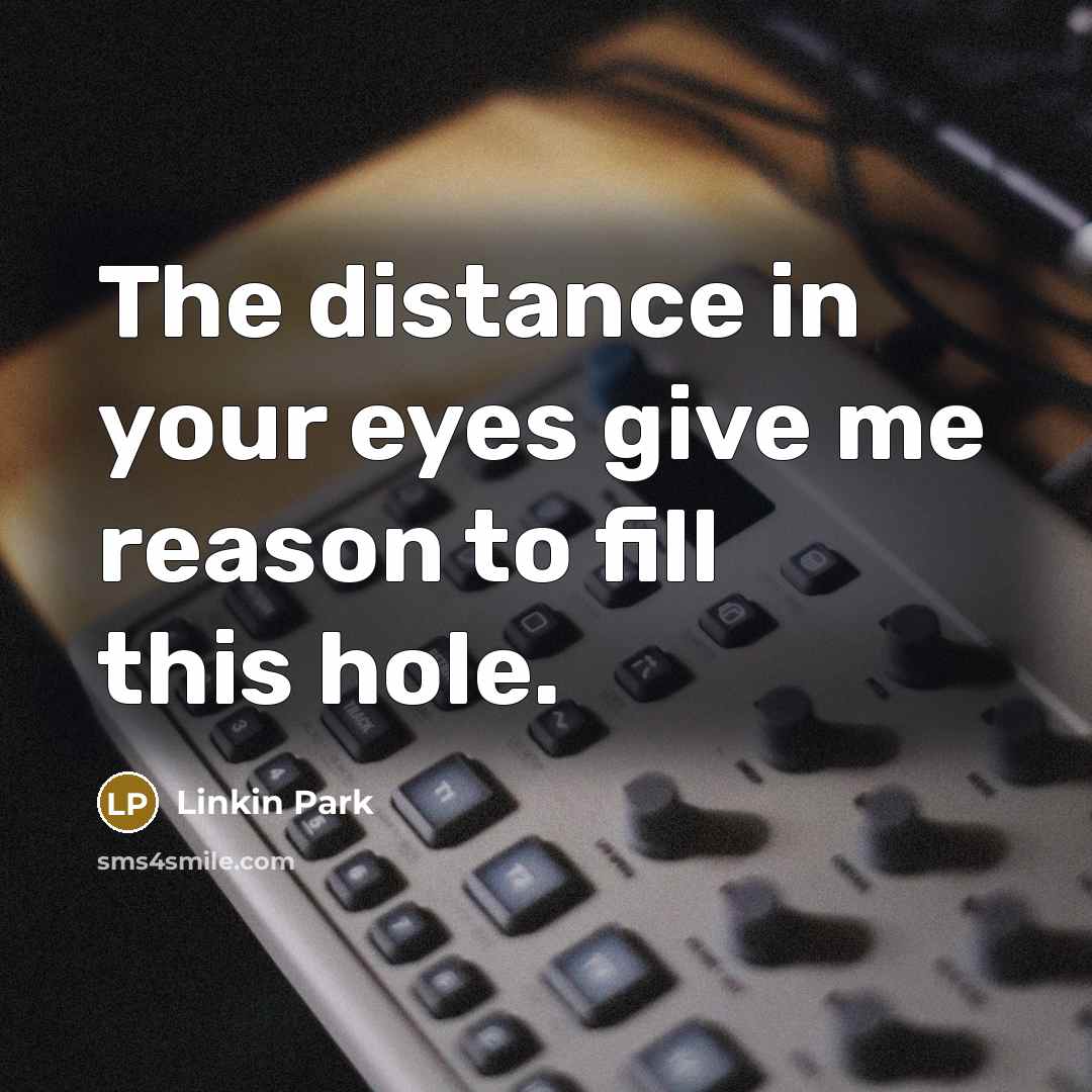 “The distance in your eyes give me reason to fill this hole.” quote by Linkin Park