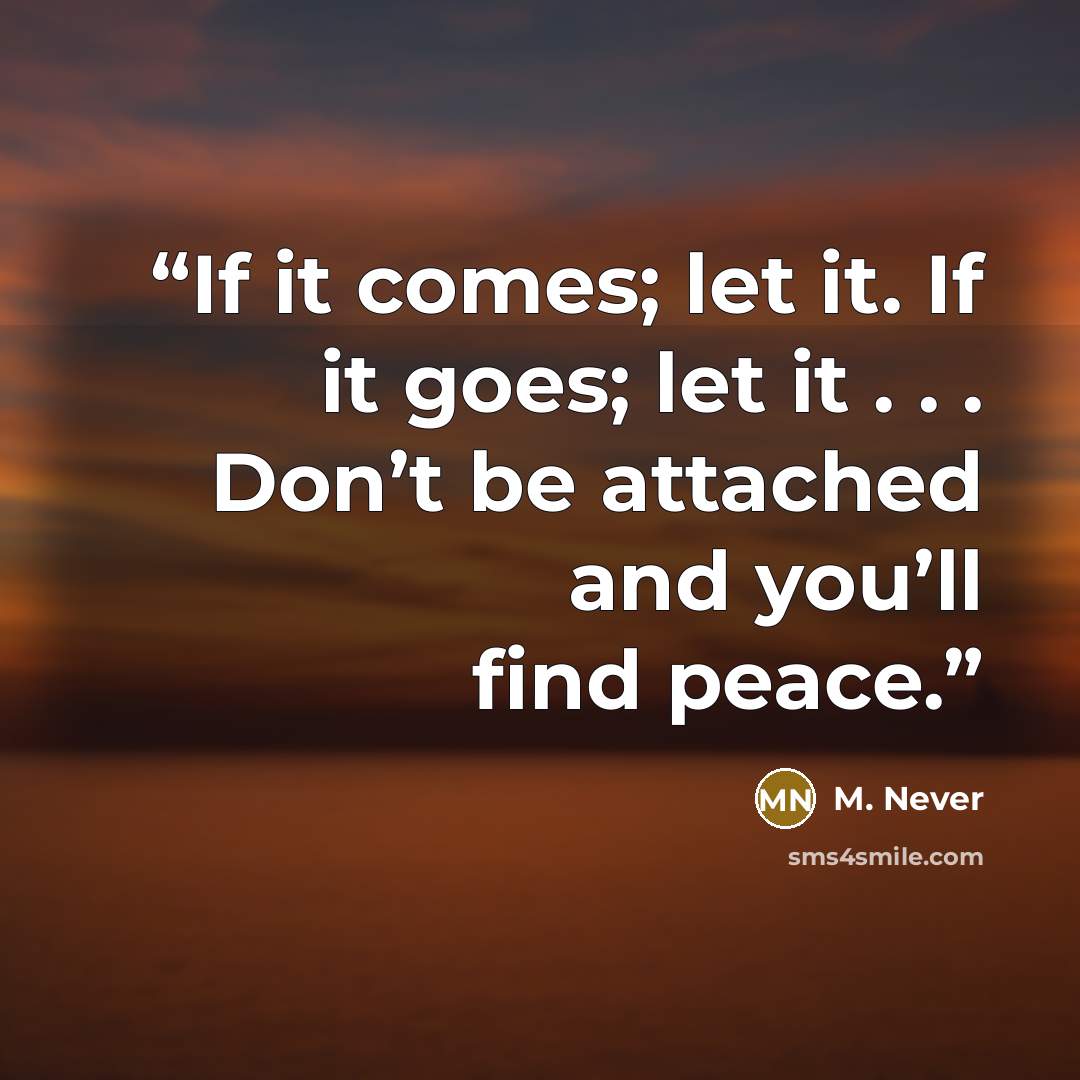 “If it comes; let it. If it goes; let it . . . Don’t be attached and you’ll find peace.” quote by M. Never
