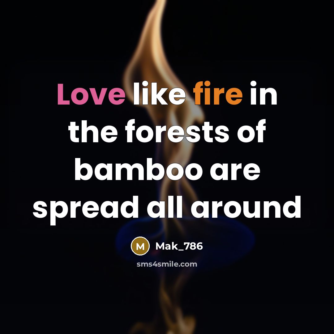 “Love like fire in the forests of bamboo are spread…” quote by Mak_786