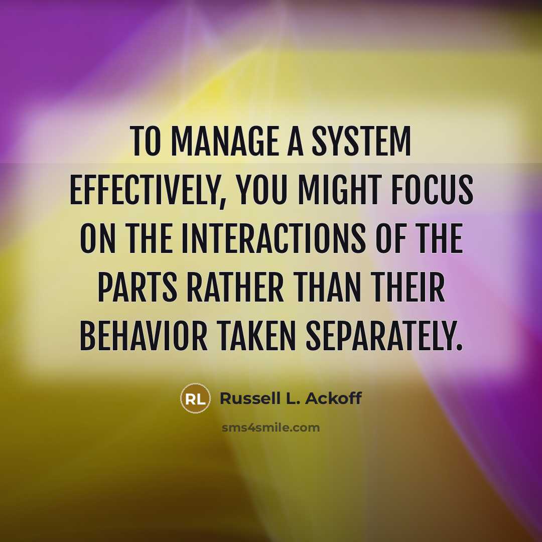 “To manage a system effectively, you might focus on the…” quote by Russell L. Ackoff