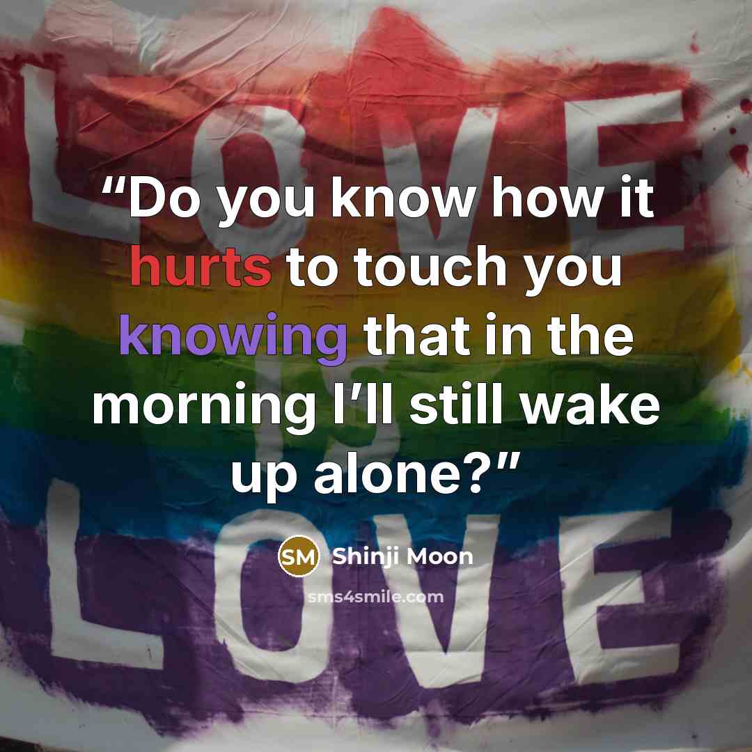 “Do you know how it hurts to touch you knowing that in the morning I’ll still wake up alone?” quote by Shinji Moon