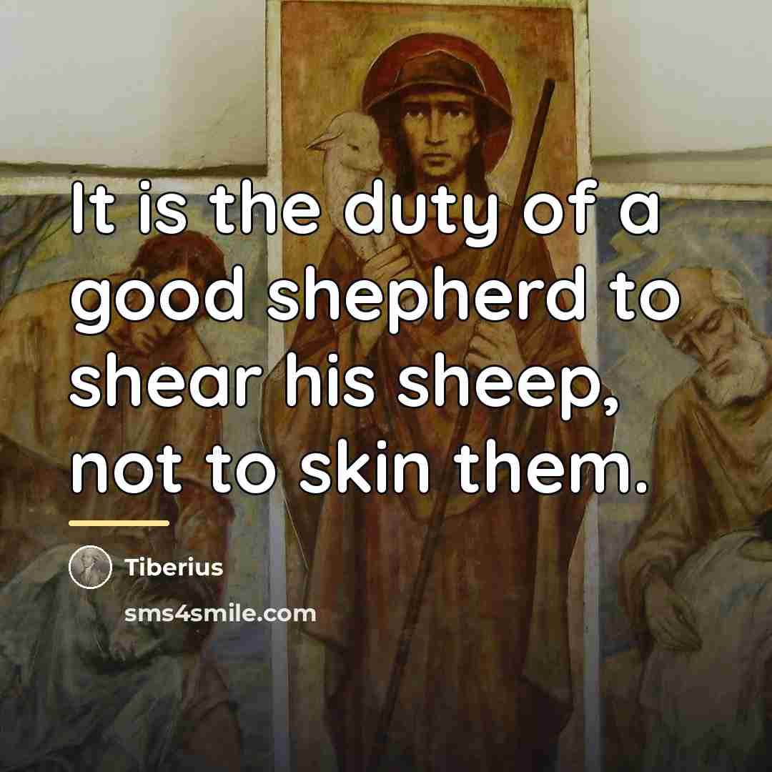 “It is the duty of a good shepherd to shear…” quote by Tiberius