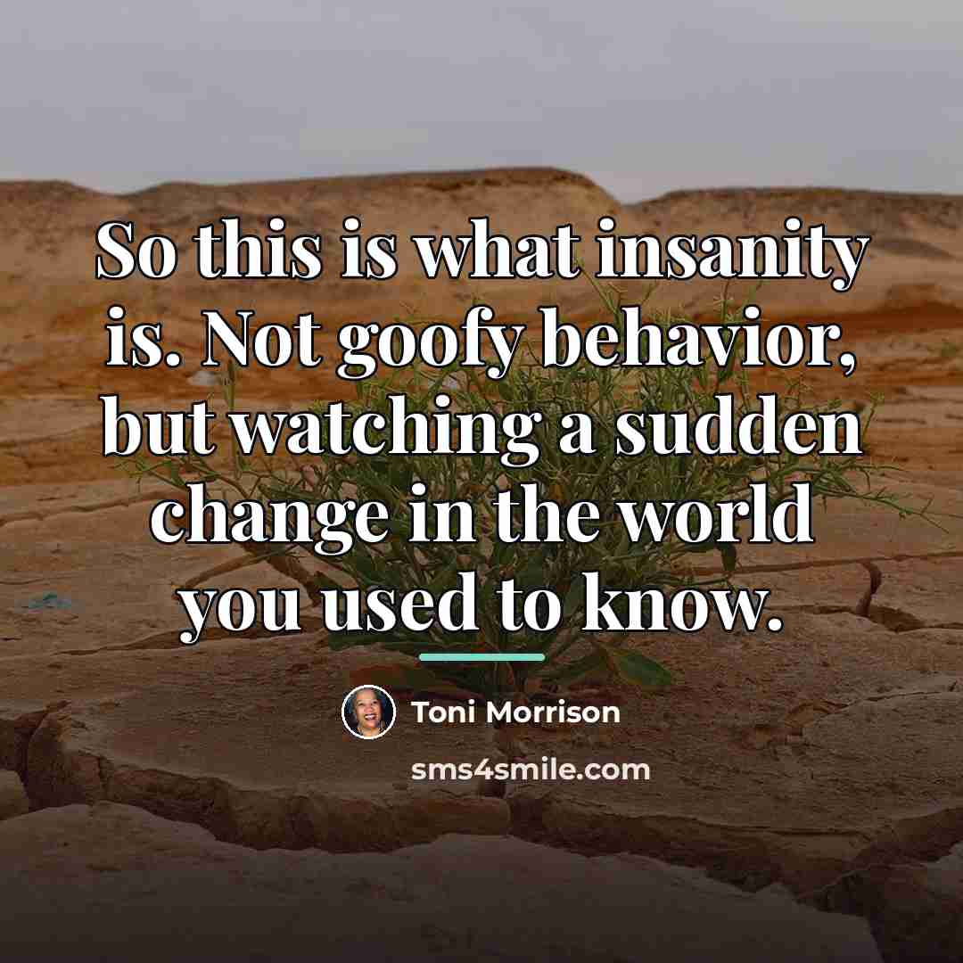“So this is what insanity is. Not goofy behavior, but…” quote by Toni Morrison