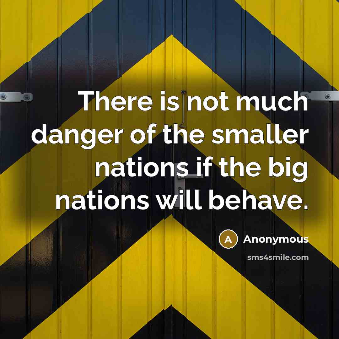 “There is not much danger of the smaller nations if…” quote by Anonymous