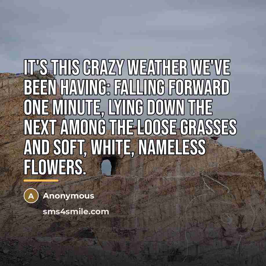 “It's this crazy weather we've been having: Falling forward one…” quote by Anonymous