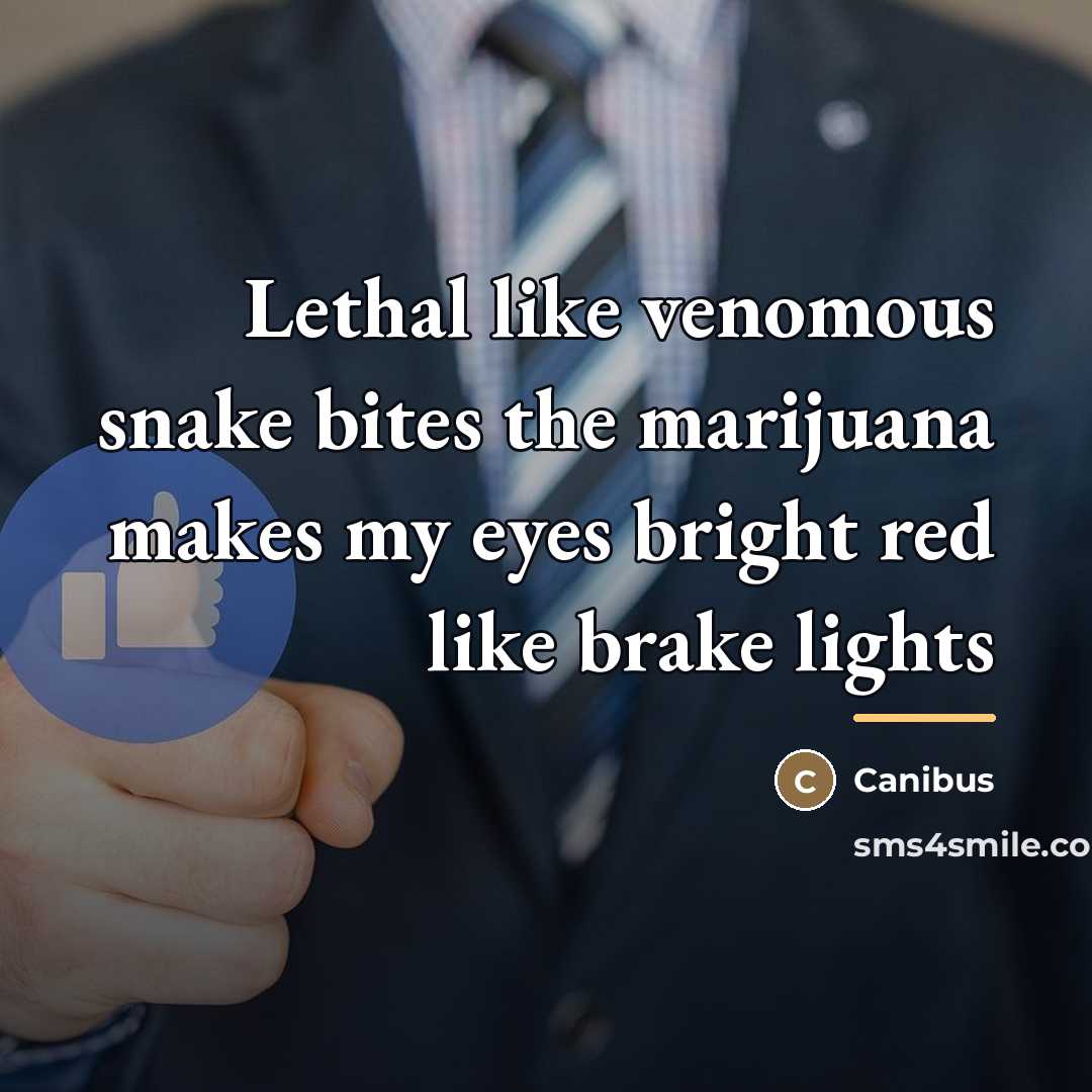 “Lethal like venomous snake bites the marijuana makes my eyes…” quote by Canibus