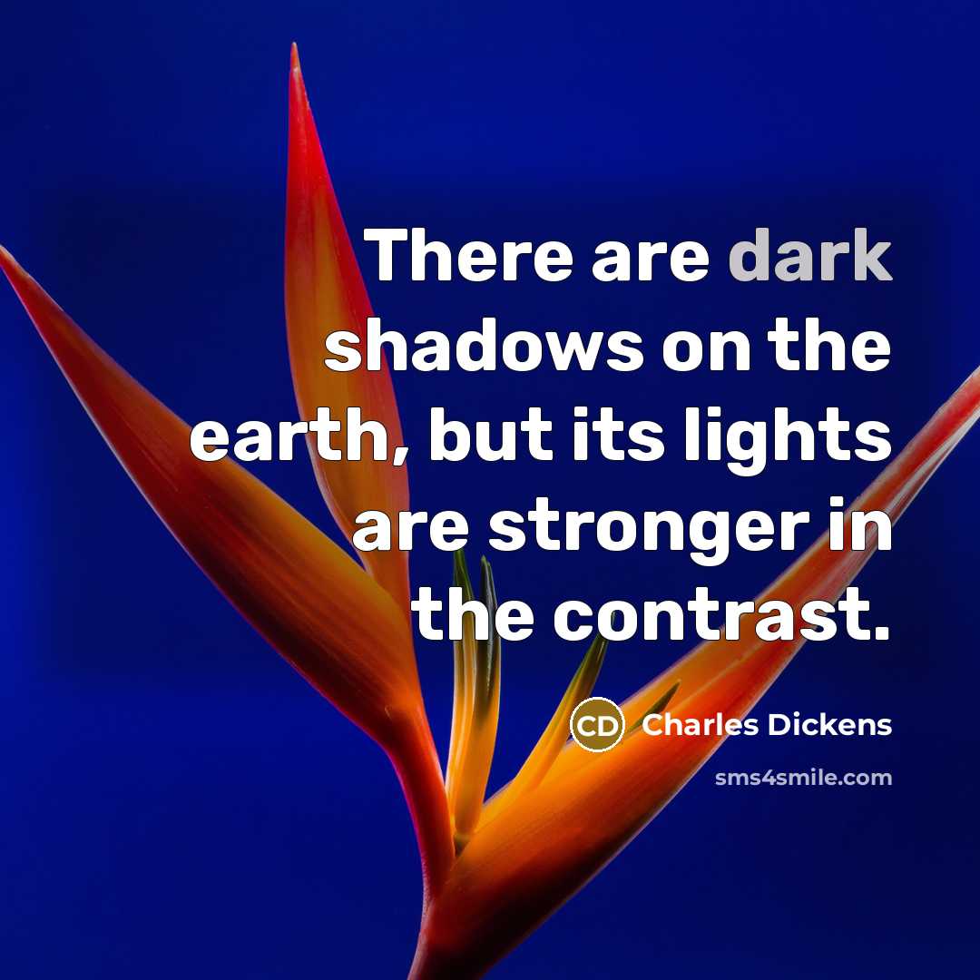 “There are dark shadows on the earth, but its lights…” quote by Charles Dickens