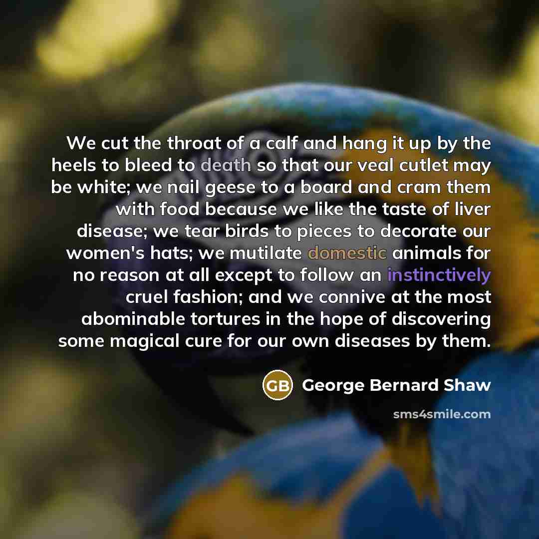 “We cut the throat of a calf and hang it…” quote by George Bernard Shaw