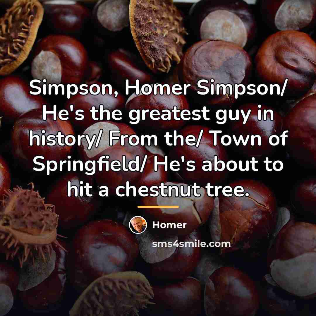 “Simpson, Homer Simpson/ He's the greatest guy in history/ From…” quote by Homer