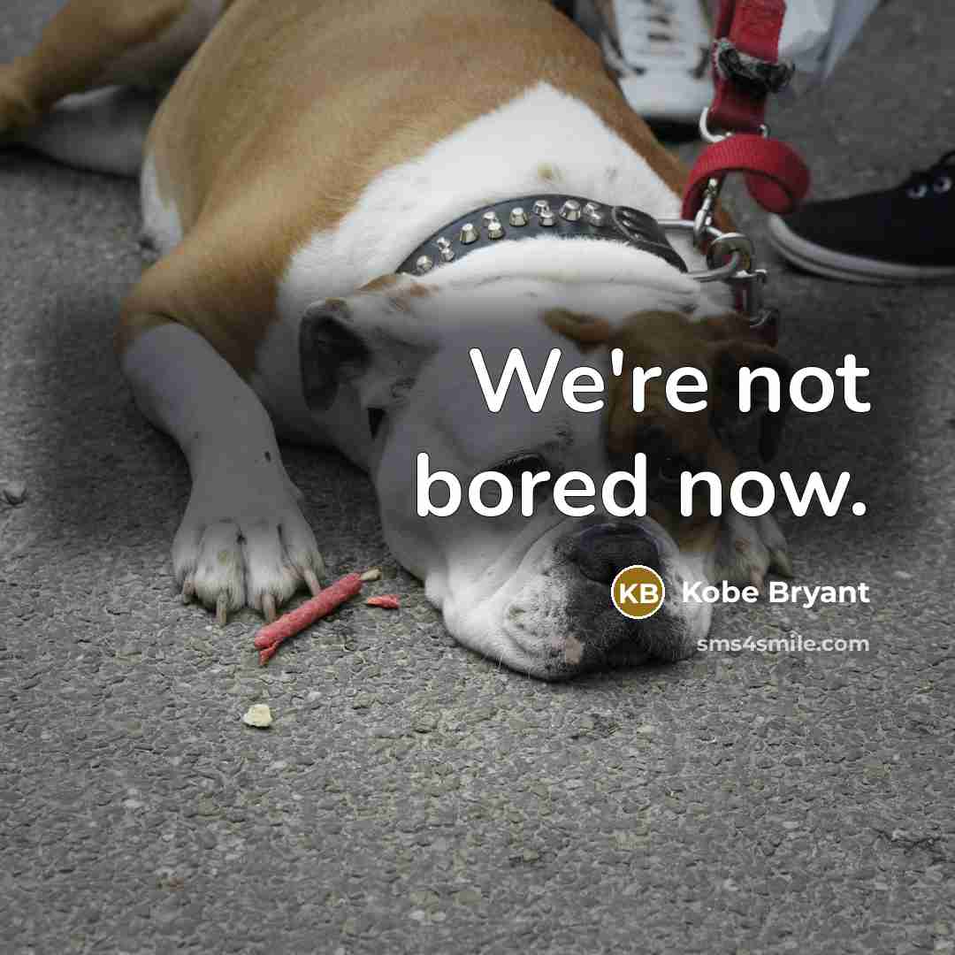 “We're not bored now.…” quote by Kobe Bryant