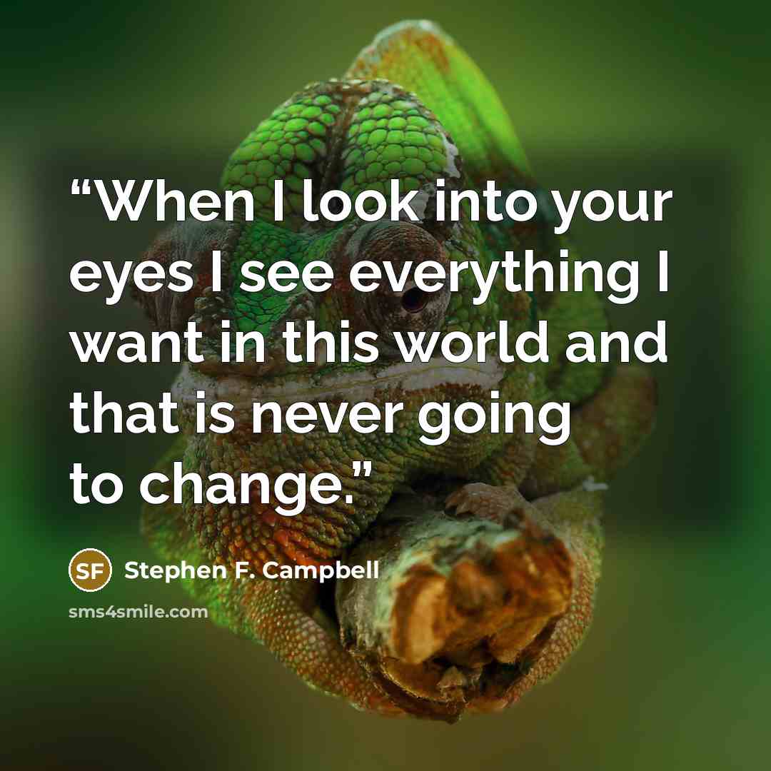 “When I look into your eyes I see everything I want in this world and that is never going to change.” quote by Stephen F. Campbell