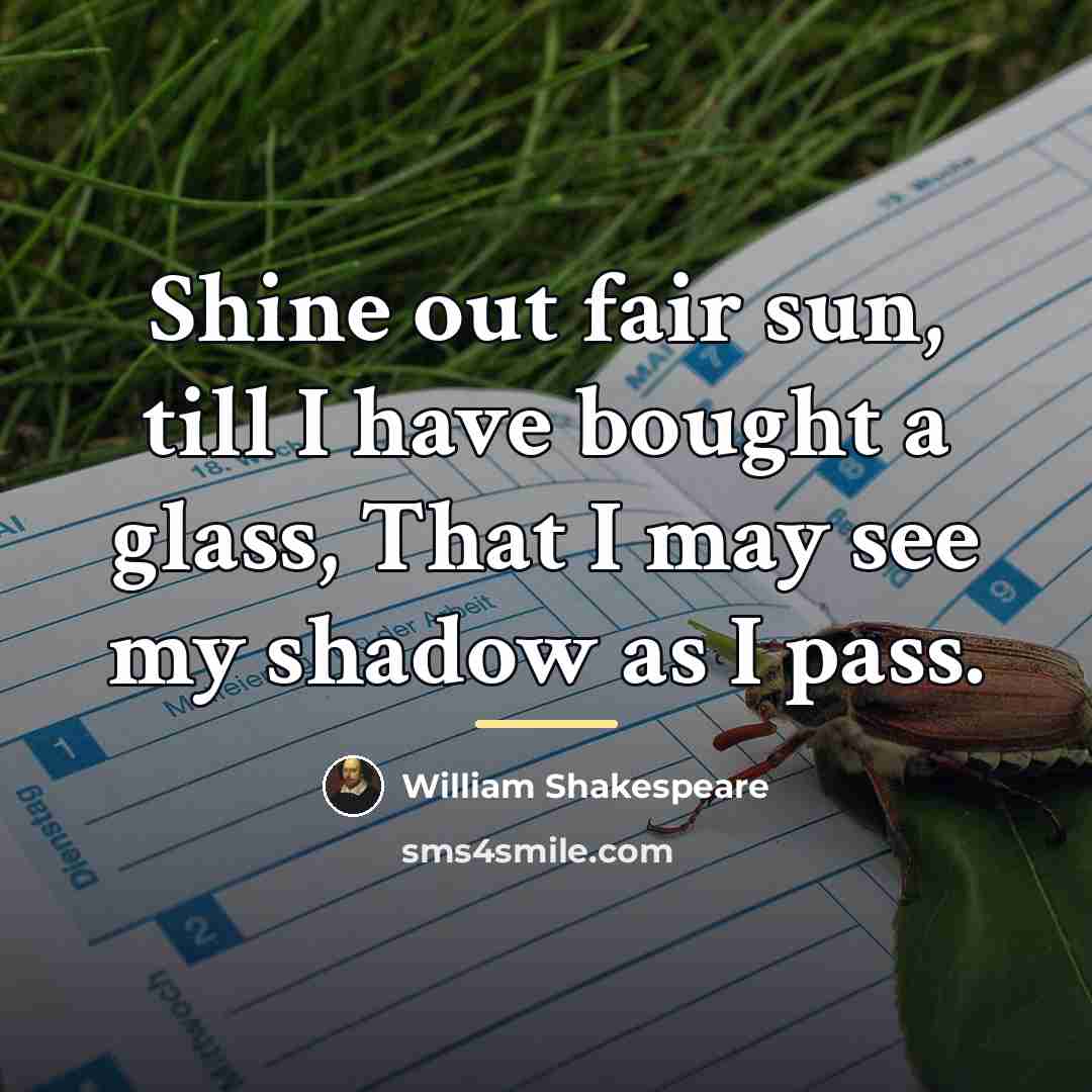 “Shine out fair sun, till I have bought a glass,…” quote by William Shakespeare