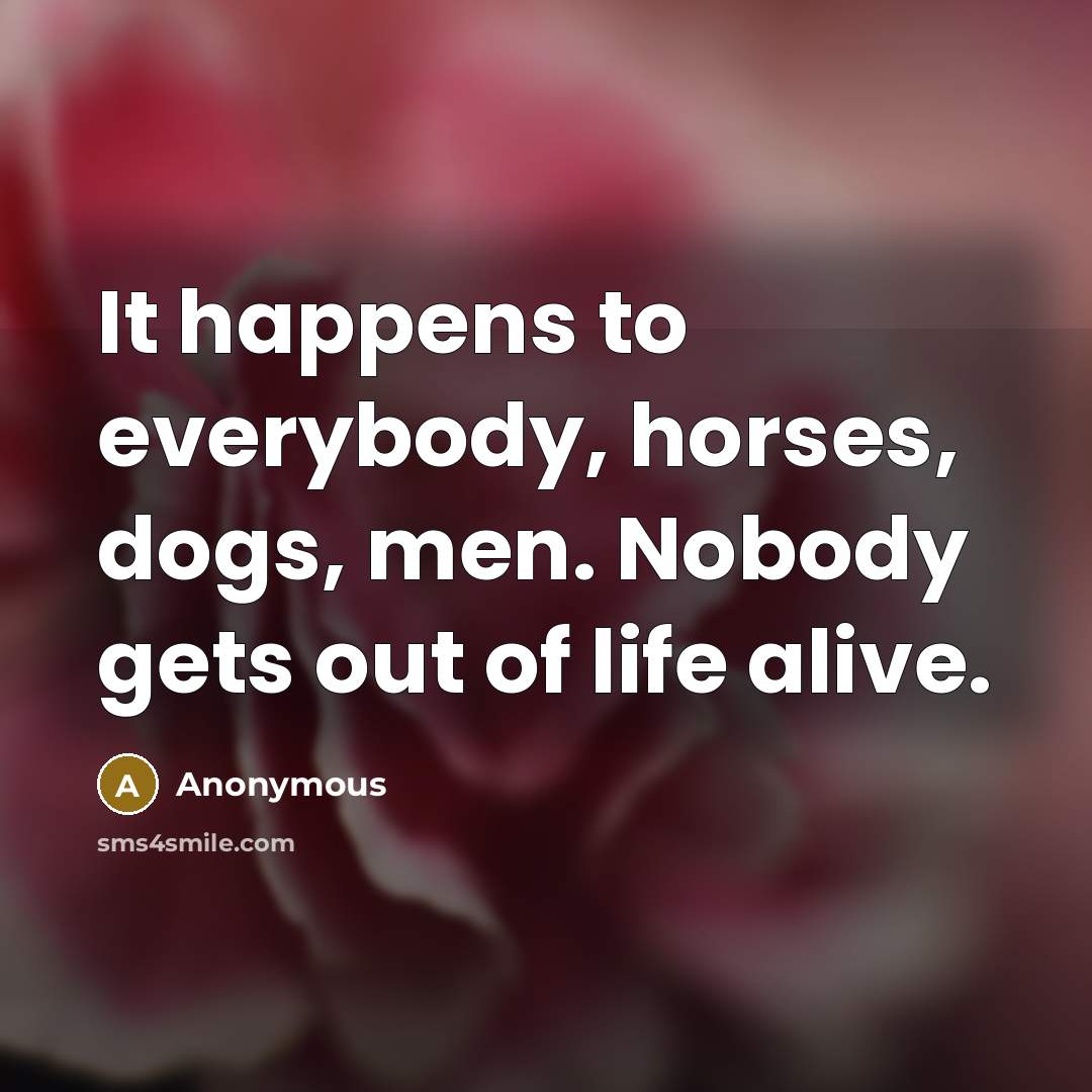 “It happens to everybody, horses, dogs, men. Nobody gets out…” quote by Anonymous