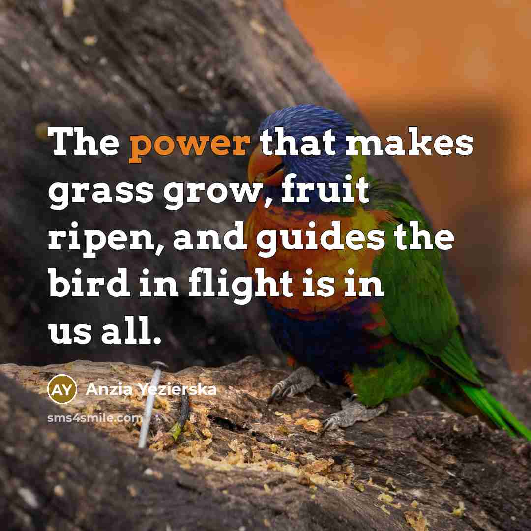 “The power that makes grass grow, fruit ripen, and guides…” quote by Anzia Yezierska