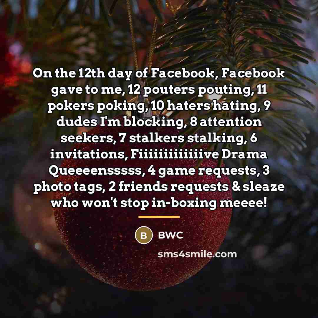 “On the 12th day of Facebook, Facebook gave to me,…” quote by Bwc
