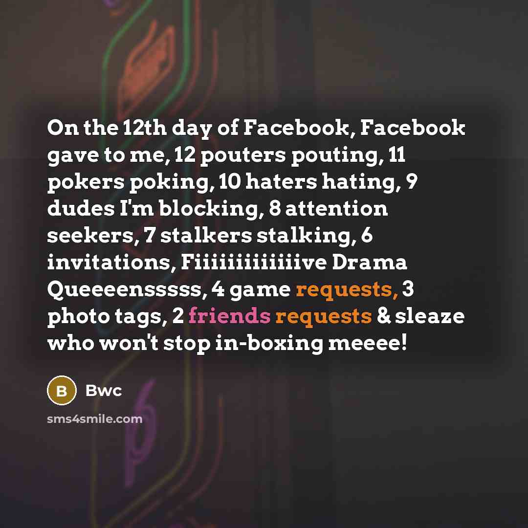 “On the 12th day of Facebook, Facebook gave to me, 12 pouters pouting, 11 pokers poking, 10 haters hating, 9 dudes I'm blocking, 8 attention seekers, 7 stalkers stalking, 6 invitations, Fiiiiiiiiiiiiive Drama Queeeensssss, 4 game requests, 3 photo tags, 2 friends requests & sleaze who won't stop…” quote by Bwc