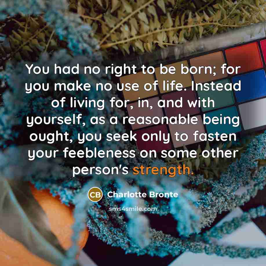 “You had no right to be born; for you make…” quote by Charlotte Bronte