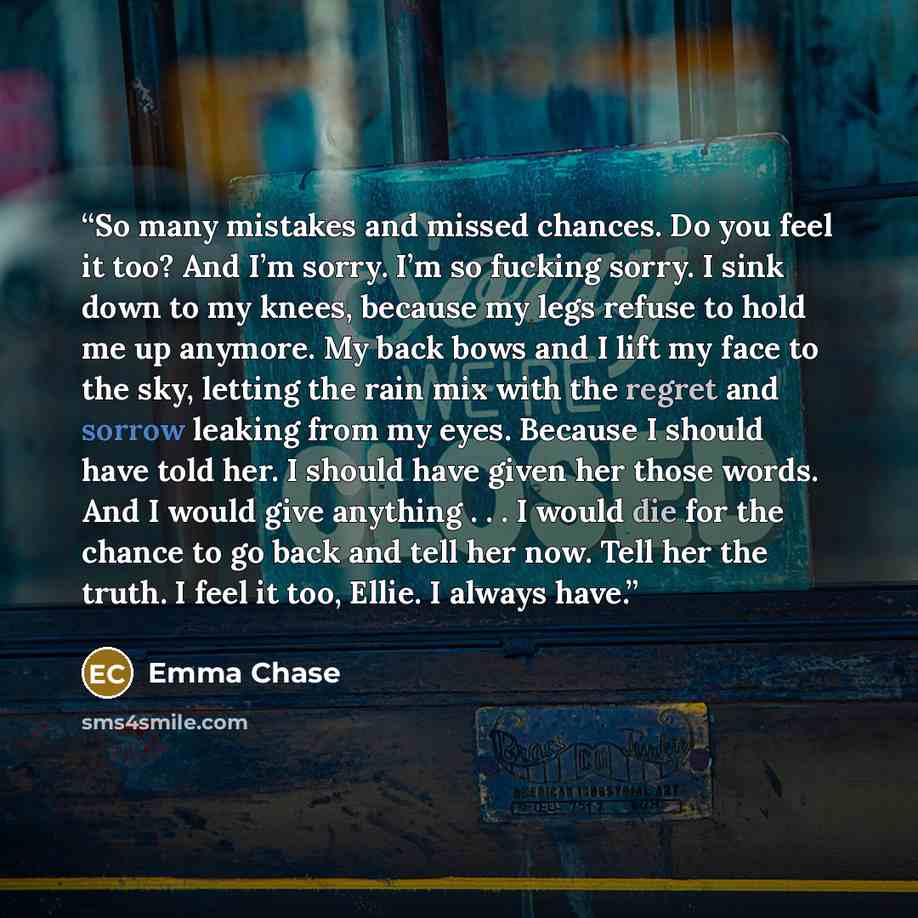 “So many mistakes and missed chances. Do you feel it too? And I’m sorry. I’m so fucking sorry. I sink down to my knees, because my legs refuse to hold me up anymore. My back bows and I lift my face to the sky, letting the rain mix with the regret and sorrow leaking from my eyes. Because I should…” quote by Emma Chase