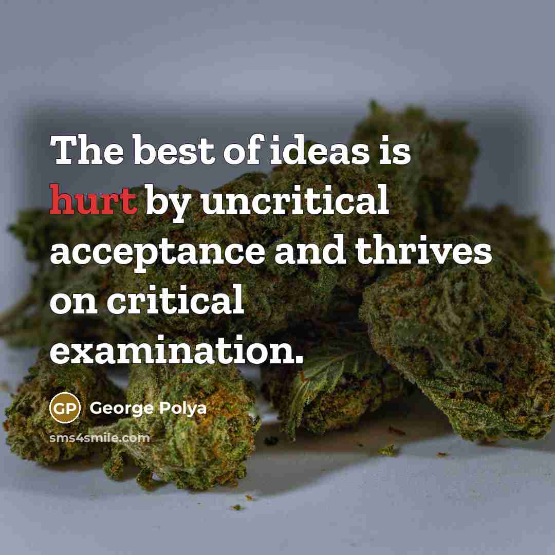 “The best of ideas is hurt by uncritical acceptance and…” quote by George Polya