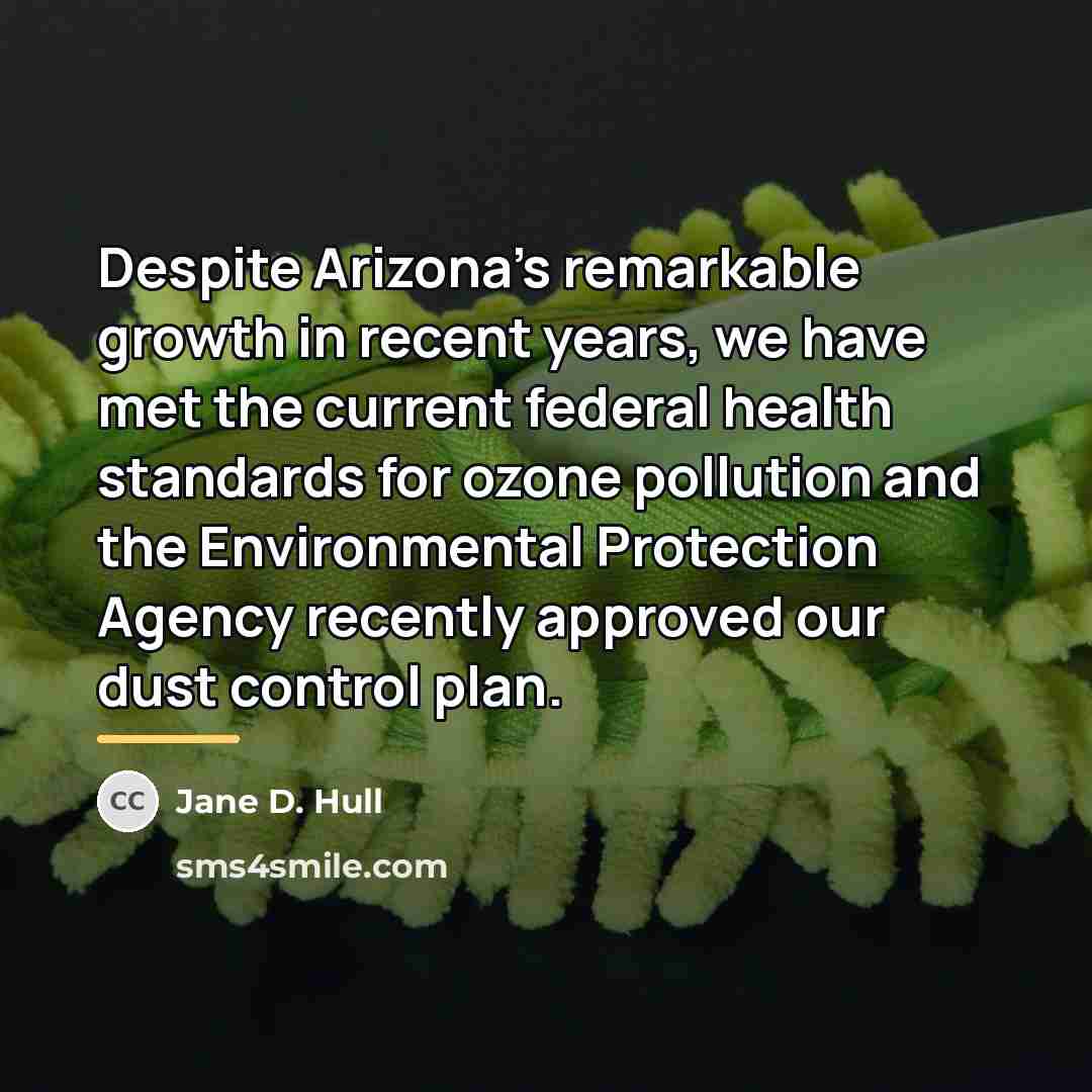 “Despite Arizona's remarkable growth in recent years, we have met…” quote by Jane D. Hull