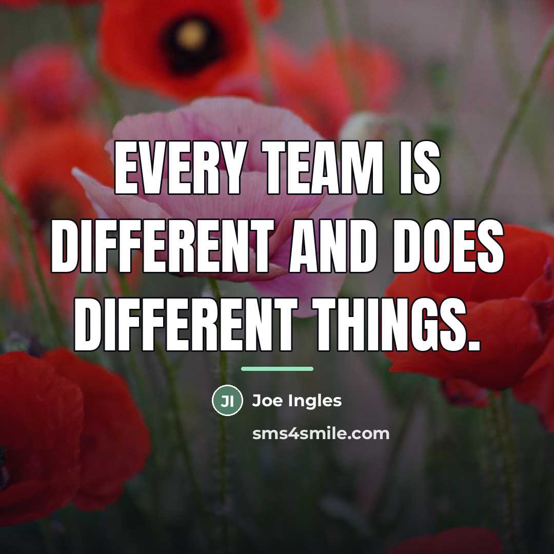 “Every team is different and does different things.…” quote by Joe Ingles
