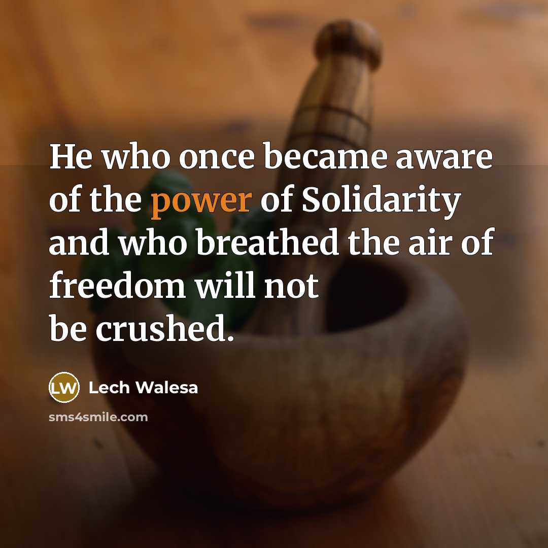 “He who once became aware of the power of Solidarity…” quote by Lech Walesa