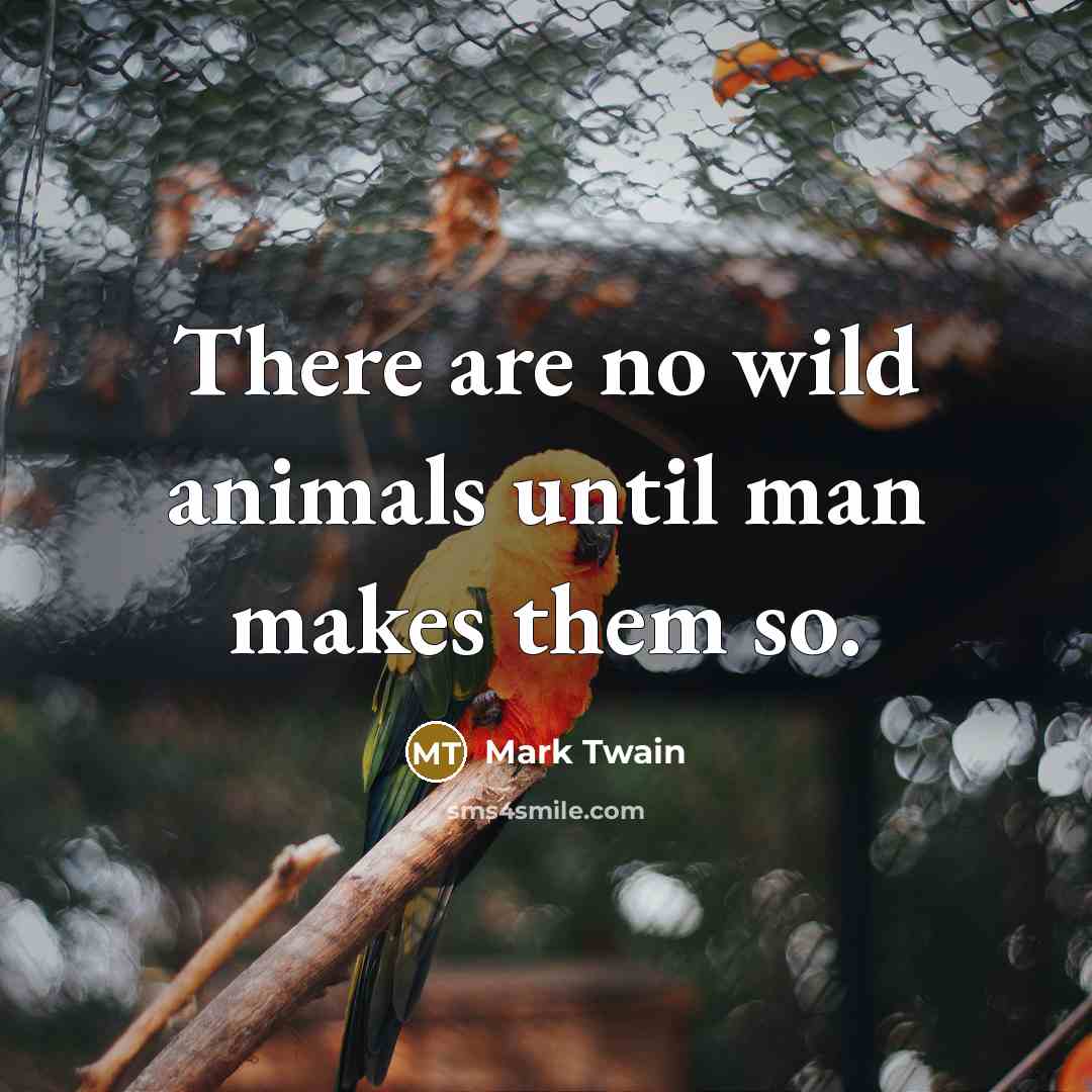 “There are no wild animals until man makes them so.…” quote by Mark Twain
