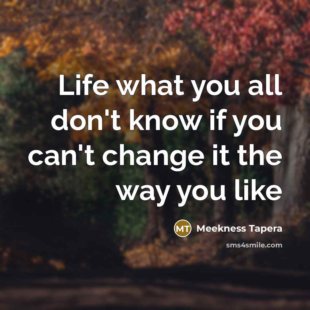 “Life what you all don't know if you can't change it the way you like” quote by Meekness Tapera