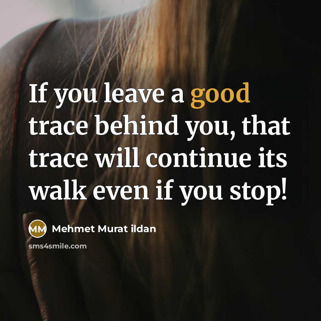 “If you leave a good trace behind you, that trace…” quote by Mehmet Murat Ildan