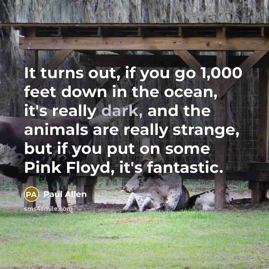 “It turns out, if you go 1,000 feet down in…” quote by Paul Allen