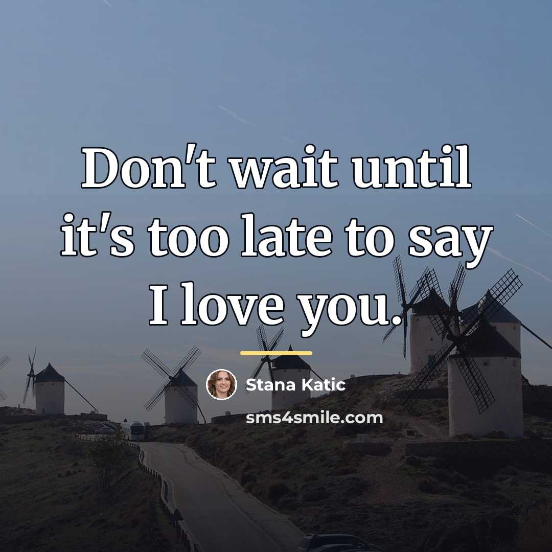 “Don't wait until it's too late to say I love…” quote by Stana Katic