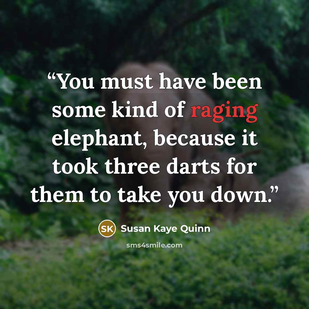 “You must have been some kind of raging elephant, because it took three darts for them to take you down.” quote by Susan Kaye Quinn
