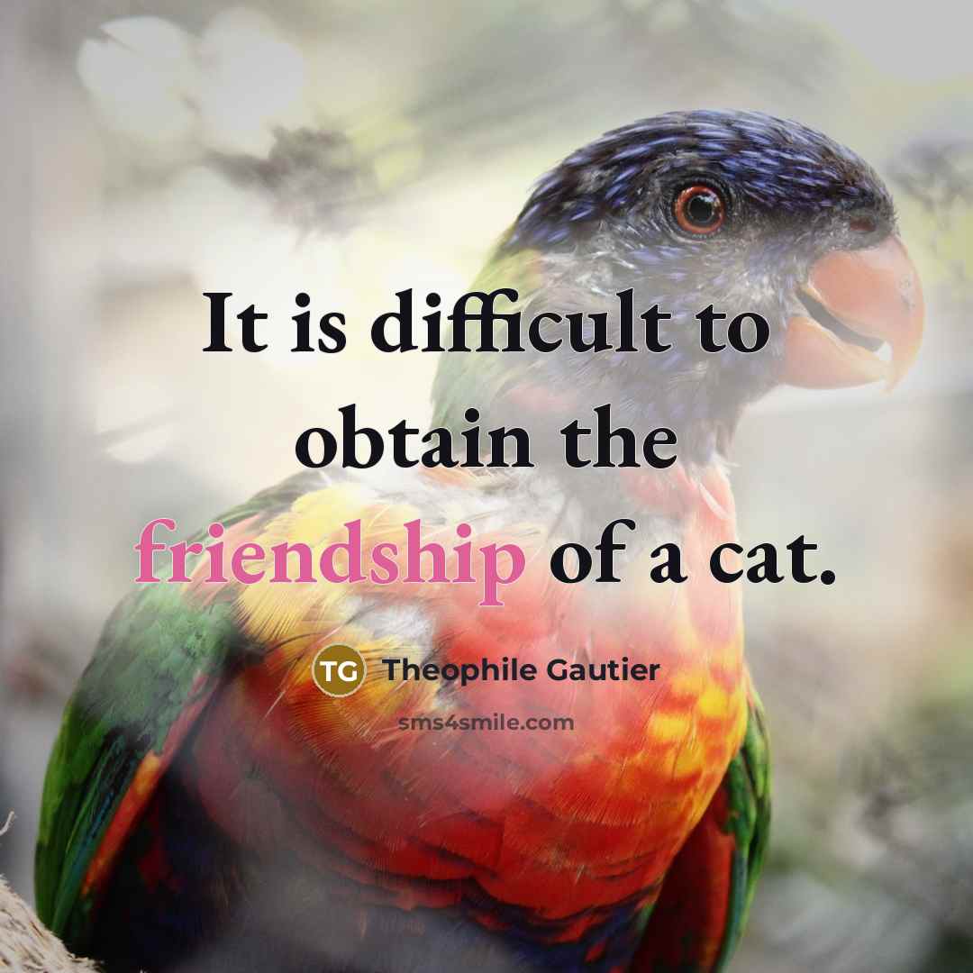“It is difficult to obtain the friendship of a cat.…” quote by Theophile Gautier