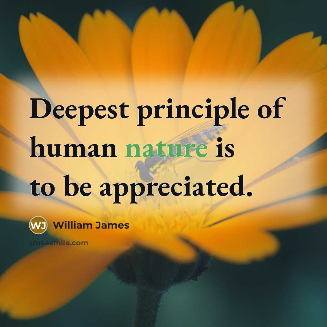 “Deepest principle of human nature is to be appreciated.…” quote by William James