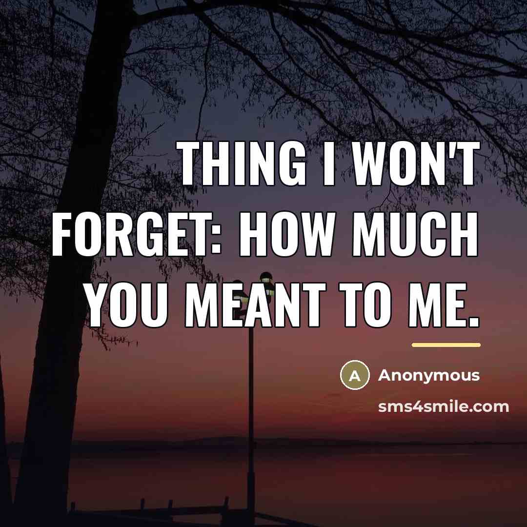 “Thing I won't forget: How much you meant to me.…” quote by Anonymous