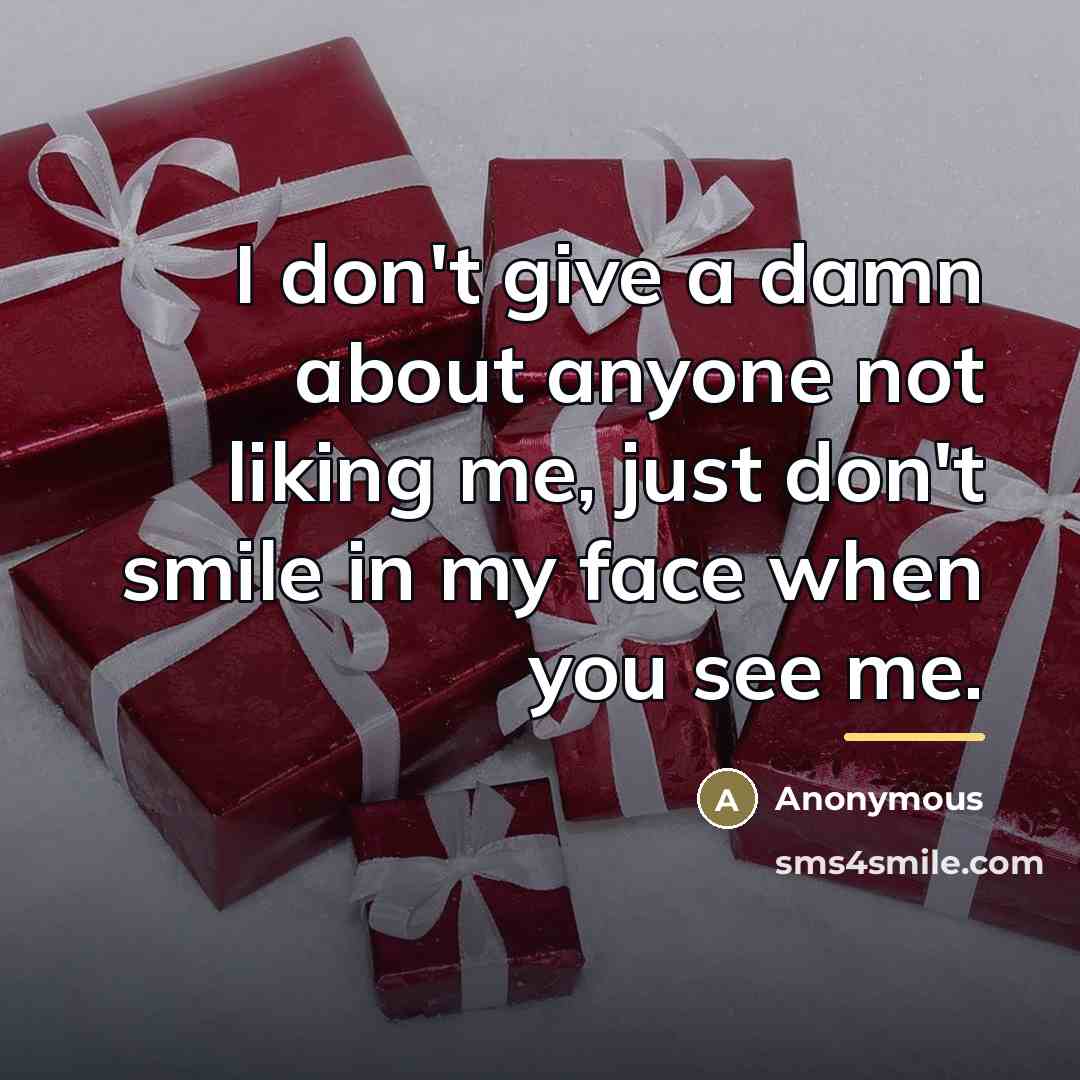 “I don't give a damn about anyone not liking me,…” quote by Anonymous