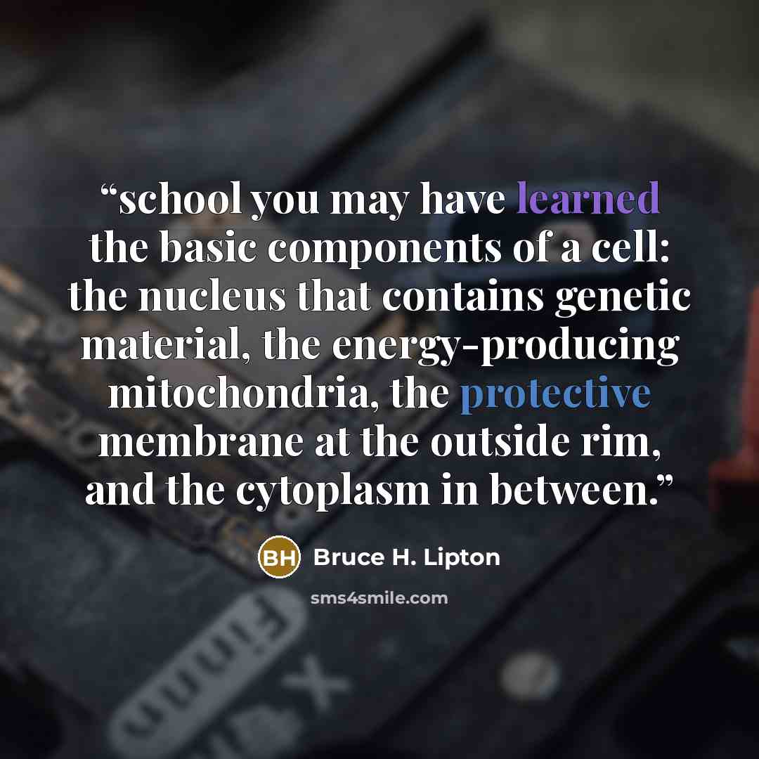 “school you may have learned the basic components of a cell: the nucleus that contains genetic material, the energy-producing mitochondria, the protective membrane at the outside rim, and the cytoplasm in between.” quote by Bruce H. Lipton