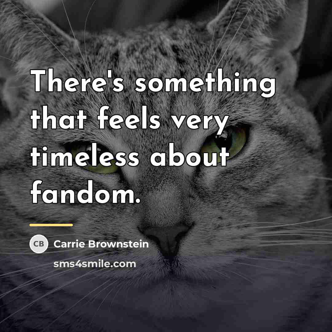 “There's something that feels very timeless about fandom.…” quote by Carrie Brownstein