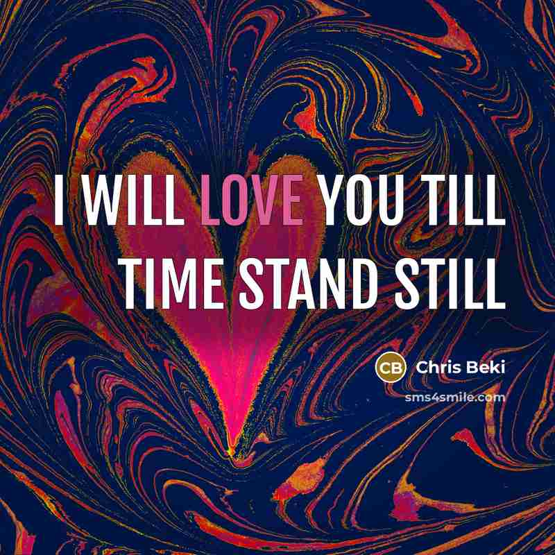 “I will love you till time stand still” quote by Chris Beki