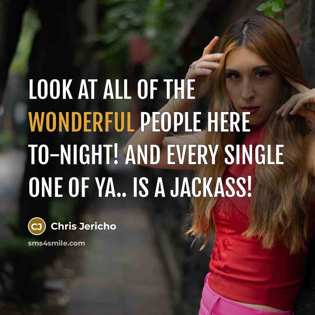 “Look at all of the wonderful people here to-night! And…” quote by Chris Jericho
