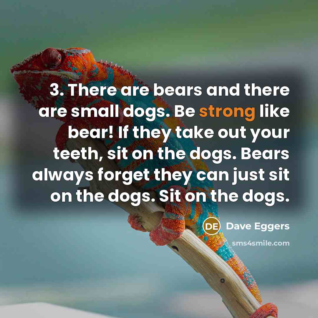 “3. There are bears and there are small dogs. Be strong like bear! If they take out your teeth, sit on the dogs. Bears always forget they can just sit on the dogs. Sit on the dogs.” quote by Dave Eggers