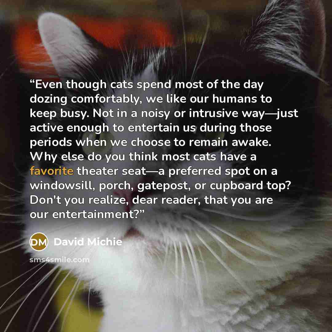 “Even though cats spend most of the day dozing comfortably, we like our humans to keep busy. Not in a noisy or intrusive way—just active enough to entertain us during those periods when we choose to remain awake. Why else do you think most cats have a favorite theater seat—a preferred spot on a…” quote by David Michie