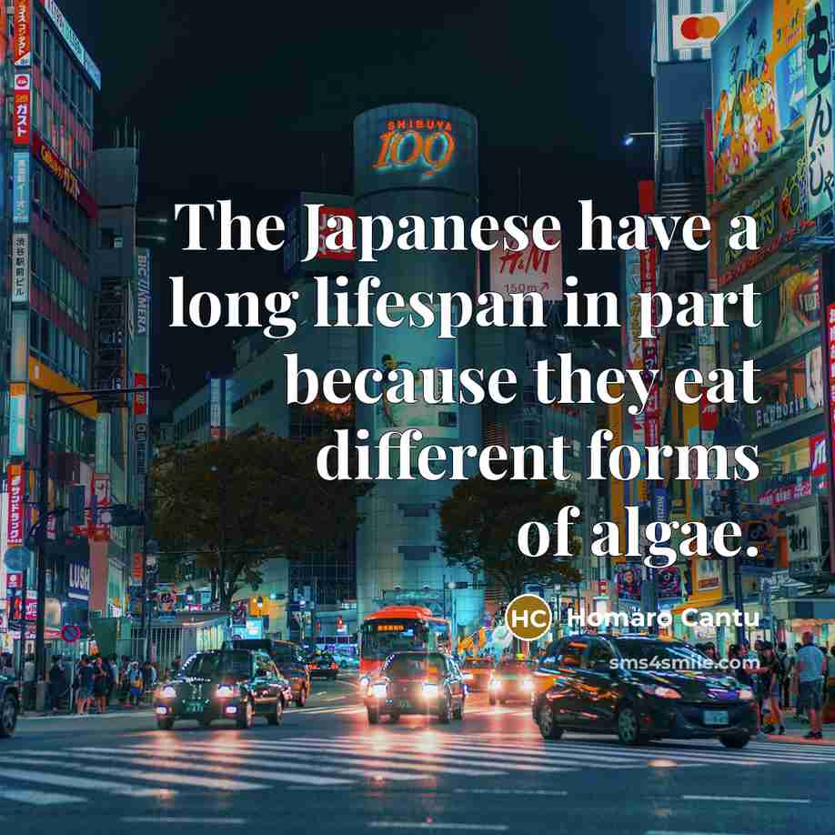 “The Japanese have a long lifespan in part because they…” quote by Homaro Cantu